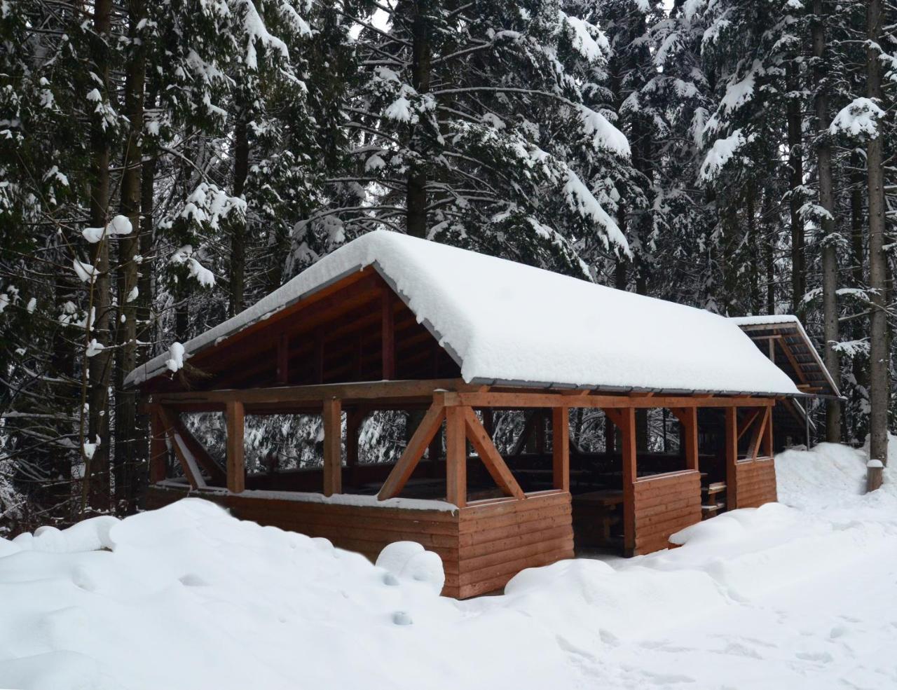 Zelenyy Bir Hotel Skhidnytsia Buitenkant foto