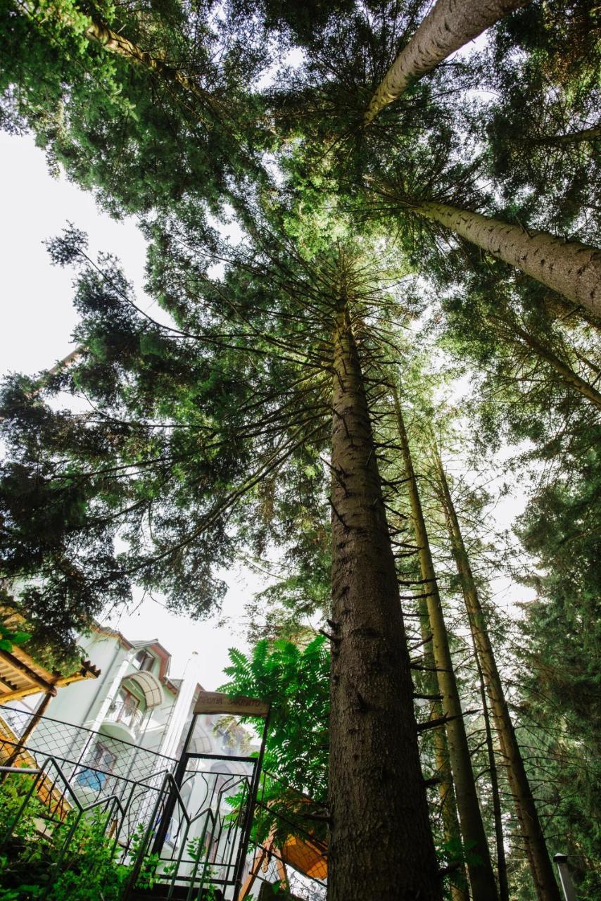 Zelenyy Bir Hotel Skhidnytsia Buitenkant foto